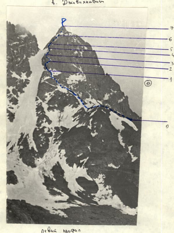 5_image_1.jpg