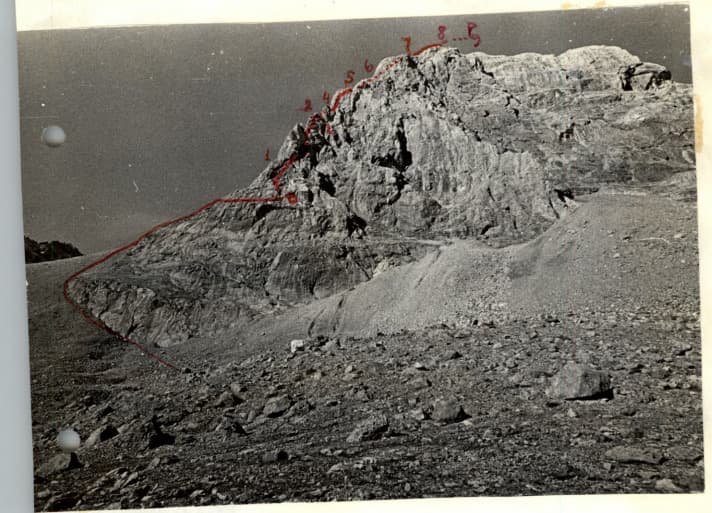 6_image_1.jpg