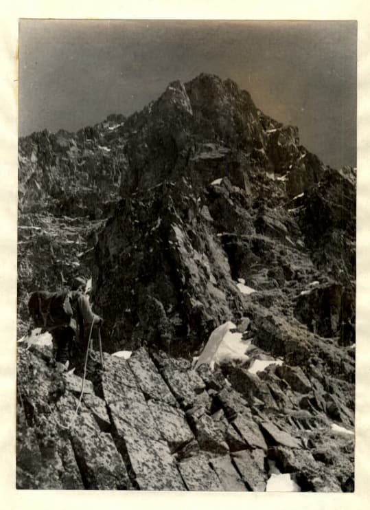 6_image_1.jpg