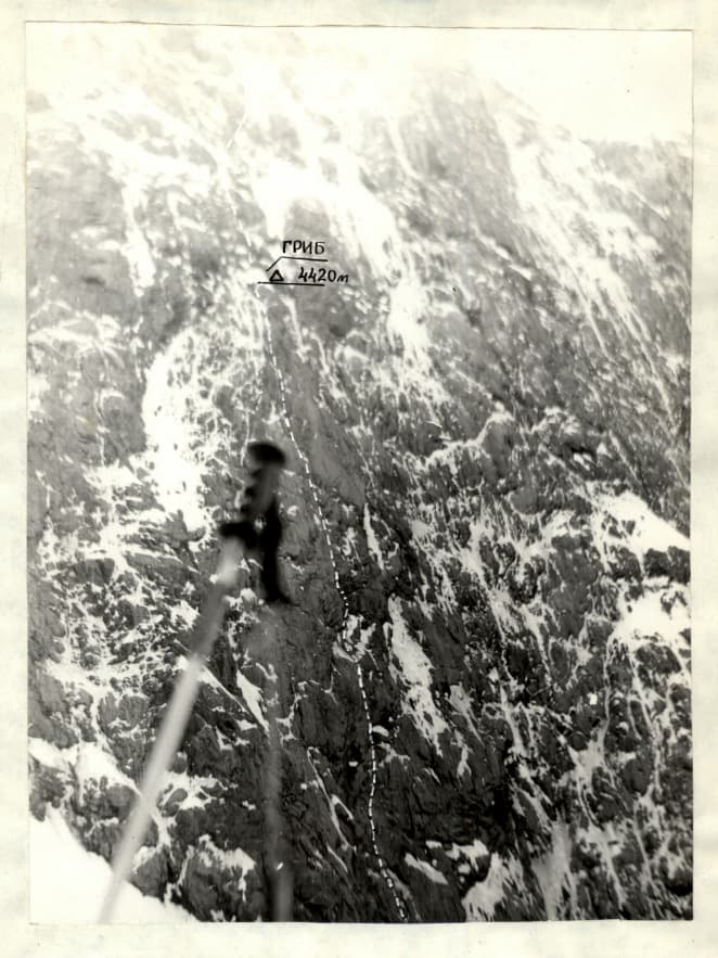 1_image_1.jpg