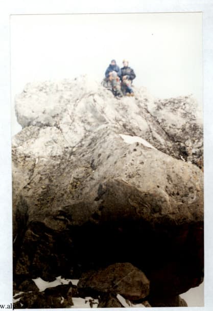 2_image_2.jpg