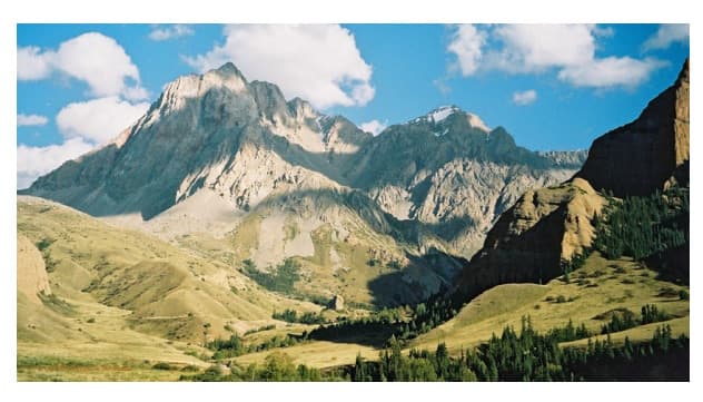 4_image_0.jpg
