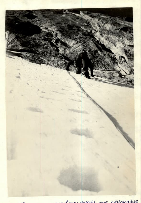 7_image_1.jpg