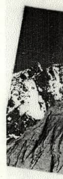1_image_2.jpg