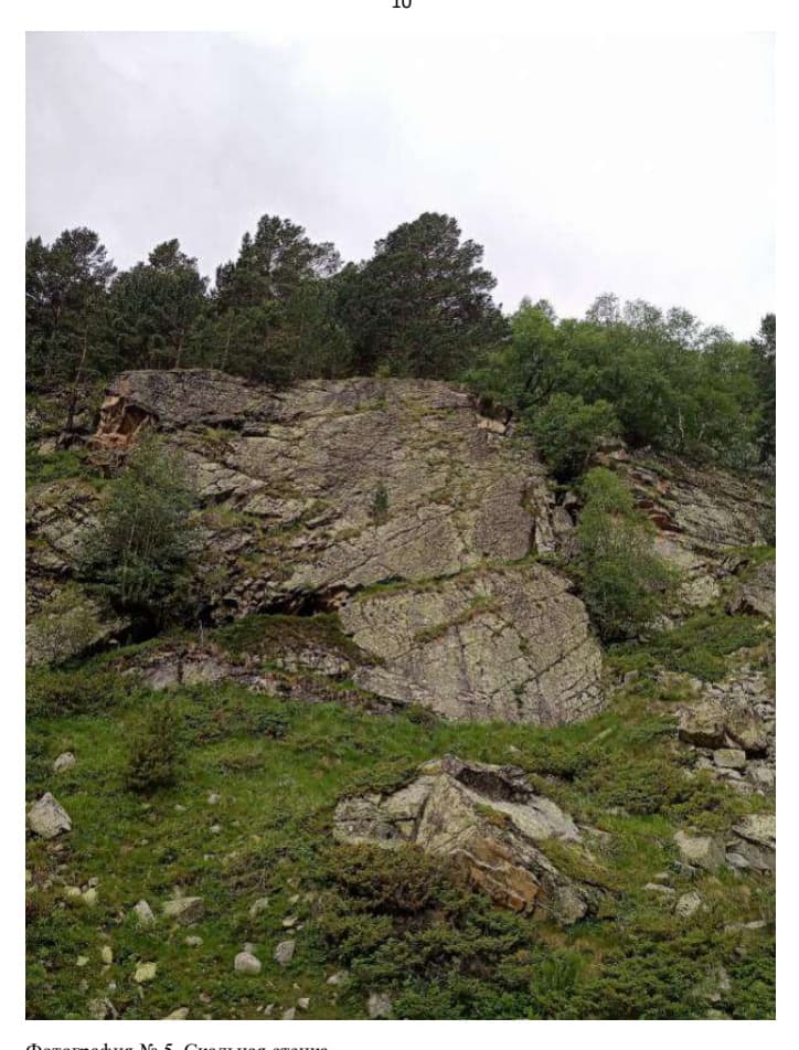 9_image_0.jpg