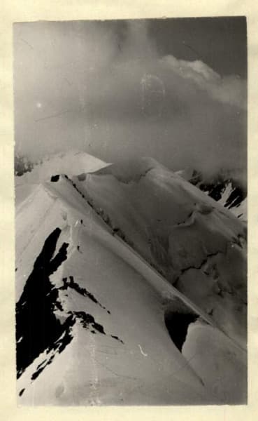 12_image_1.jpg
