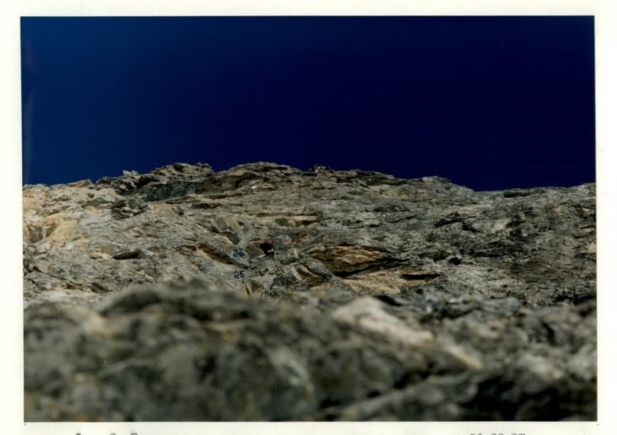 19_image_1.jpg