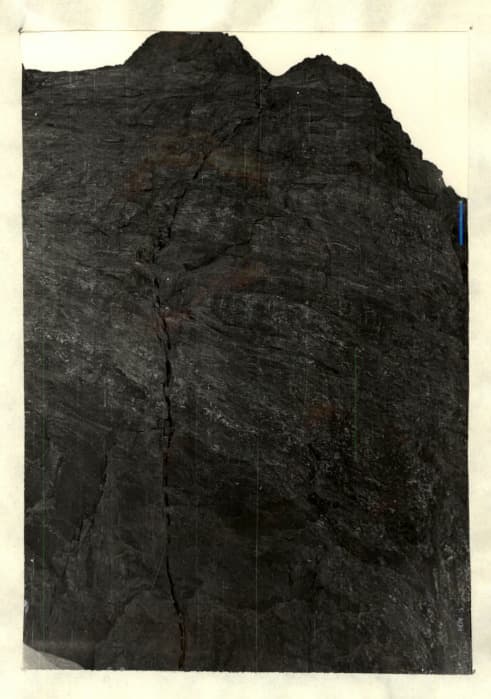 5_image_1.jpg