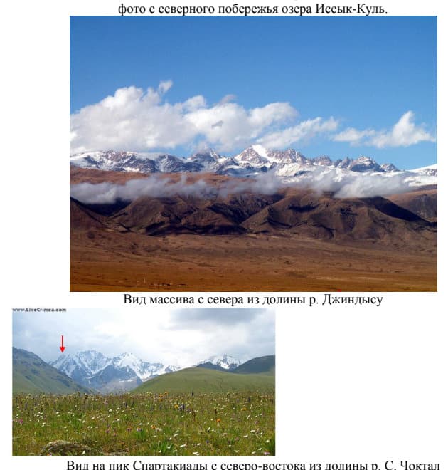 3_image_0.jpg