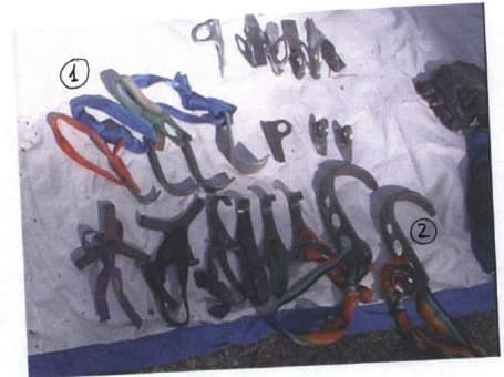 11_image_1.jpg