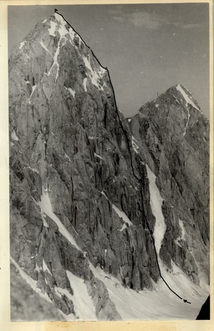 5_image_1.jpg