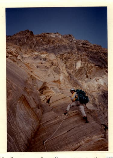 7_image_2.jpg