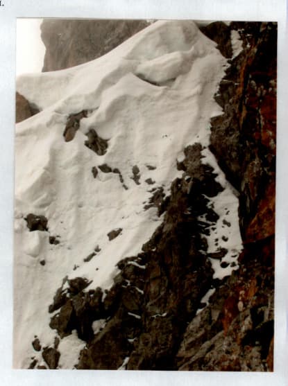 7_image_2.jpg