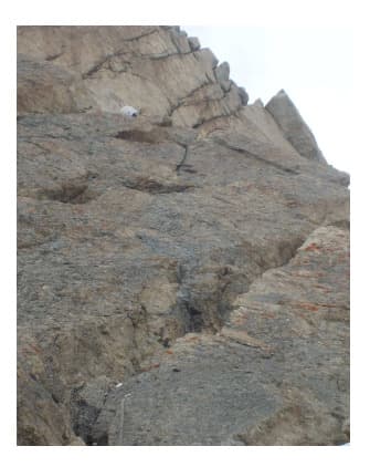 2_image_1.jpg
