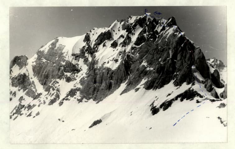 1_image_1.jpg