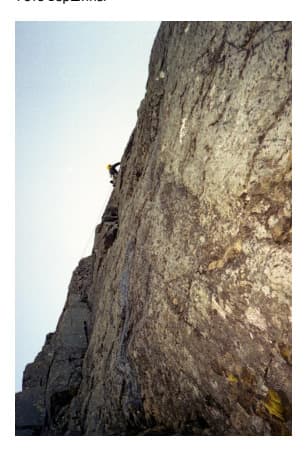 7_image_1.jpg
