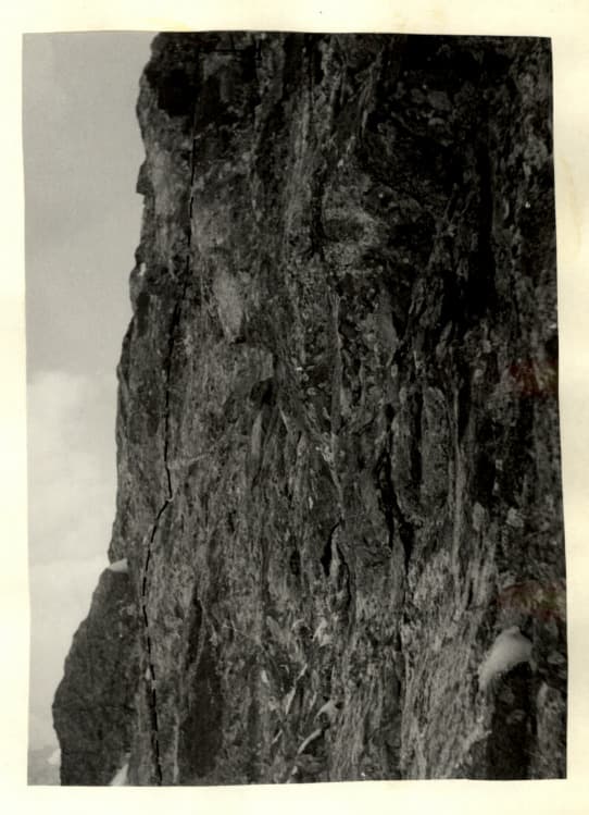 7_image_1.jpg