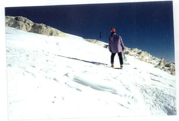 2_image_0.jpg