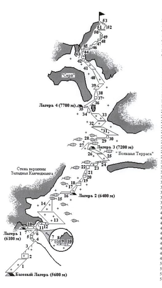 7_image_0.jpg