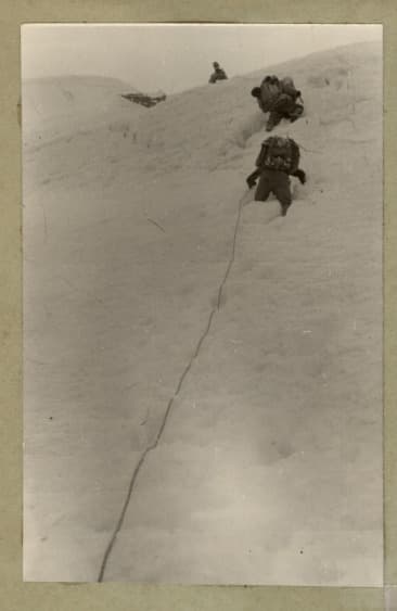 14_image_0.jpg