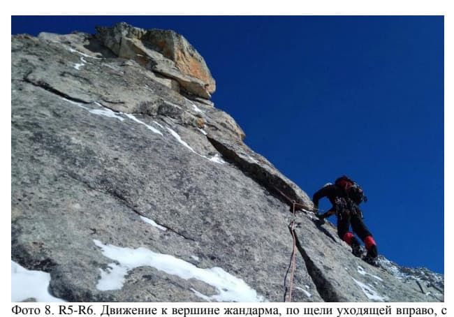 11_image_0.jpg
