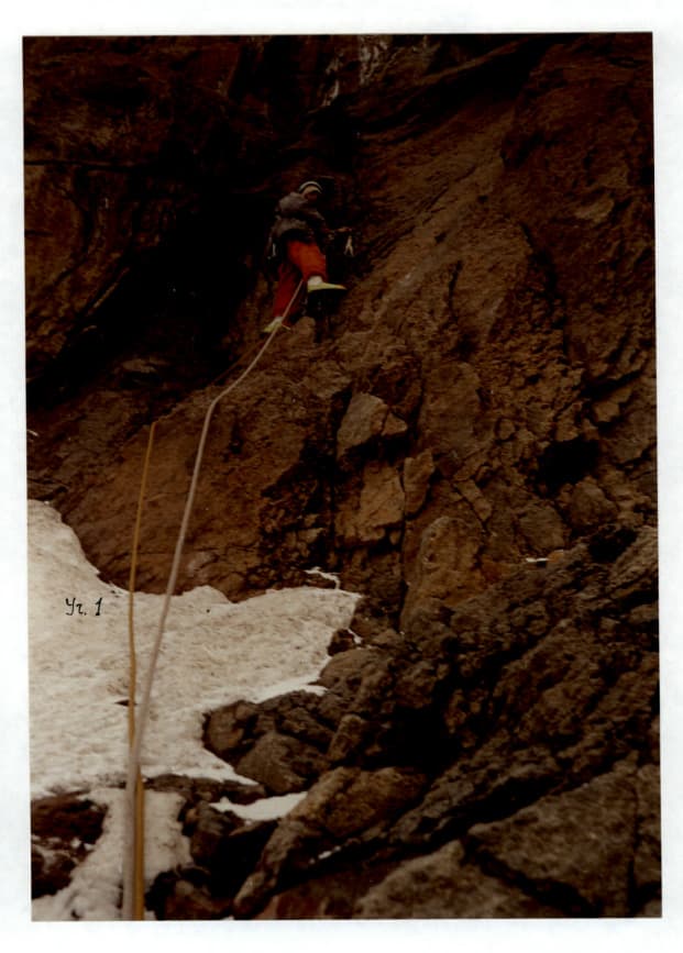 14_image_0.jpg