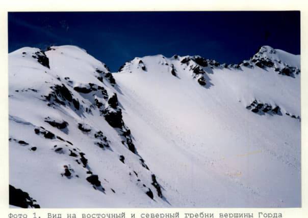 5_image_1.jpg