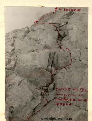 3_image_1.jpg