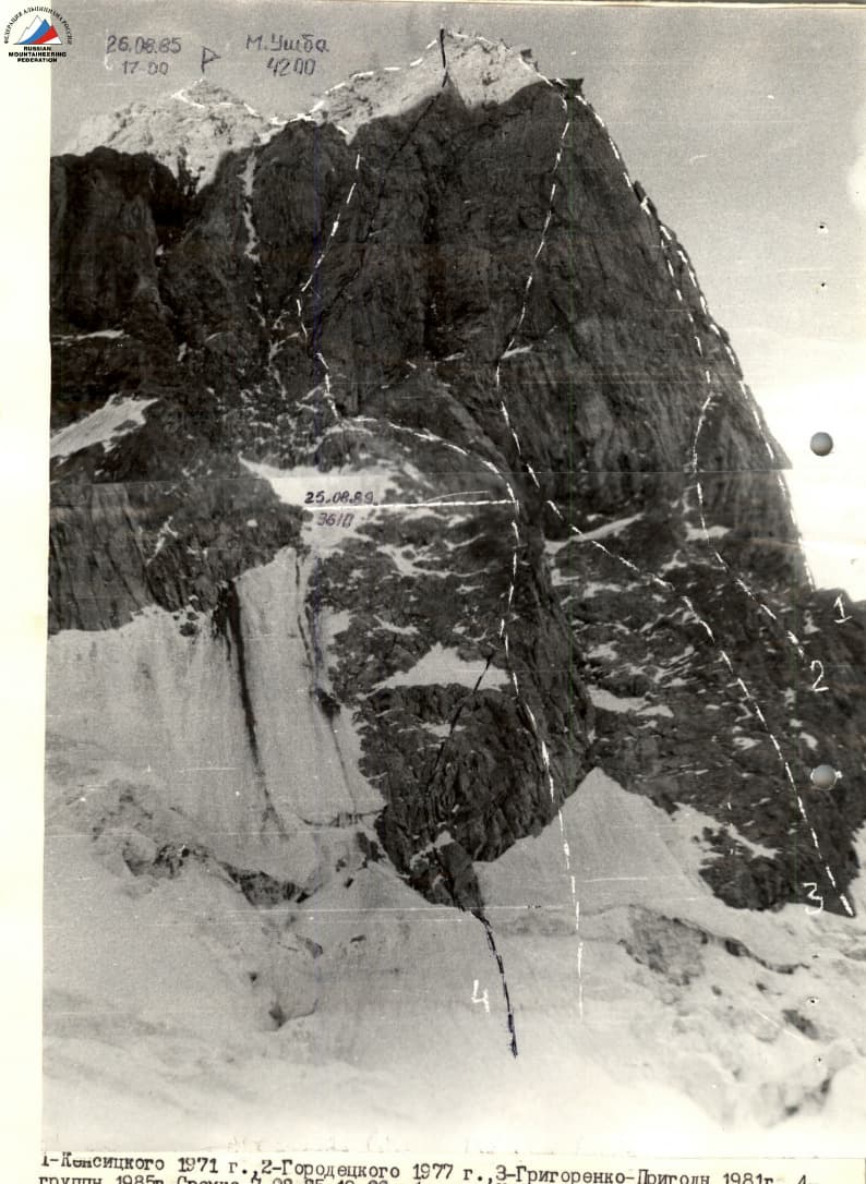 2_image_0.jpg