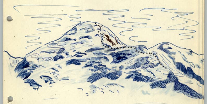 2_image_1.jpg