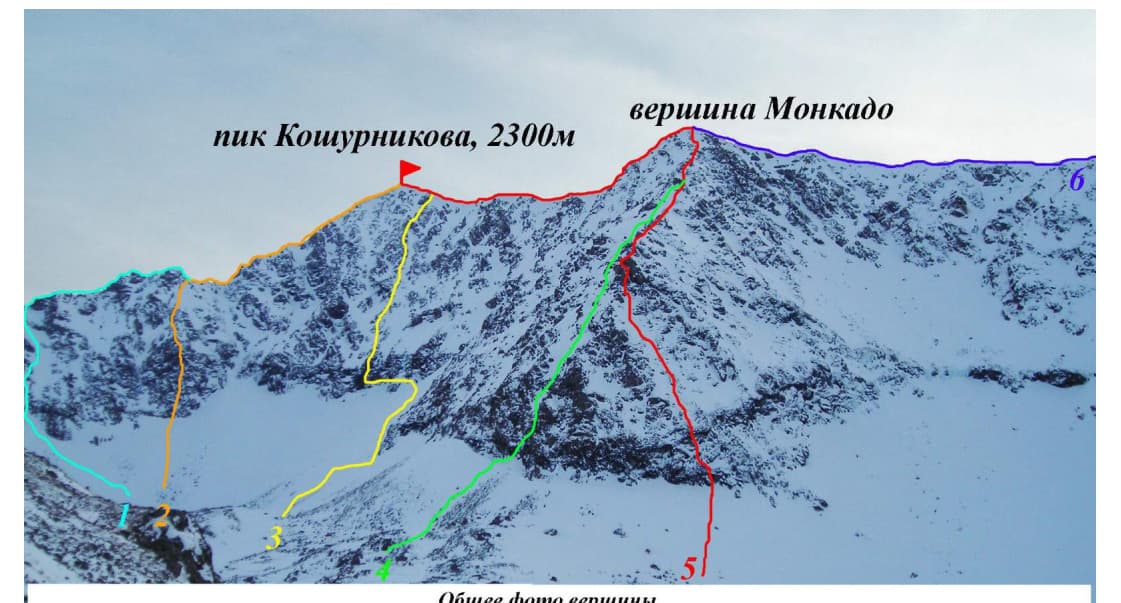 1_image_0.jpg