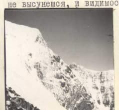 46_image_1.jpg