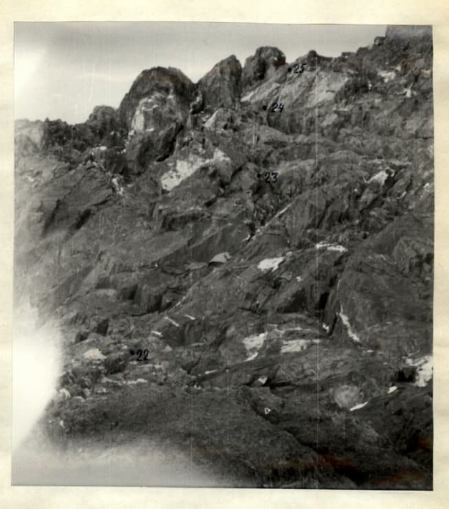 17_image_1.jpg