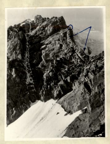 7_image_1.jpg