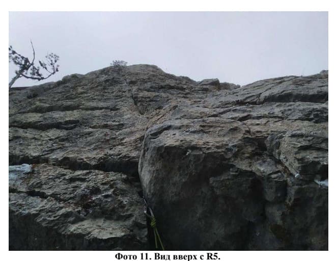 21_image_0.jpg