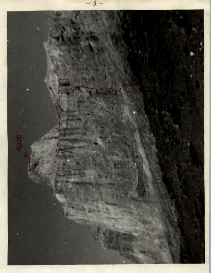 1_image_1.jpg