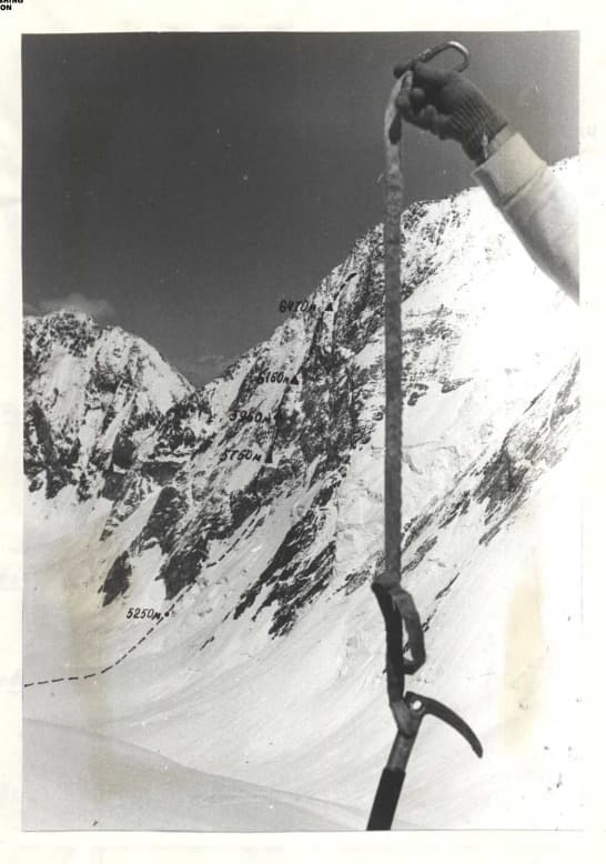 4_image_1.jpg