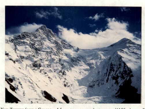 5_image_2.jpg