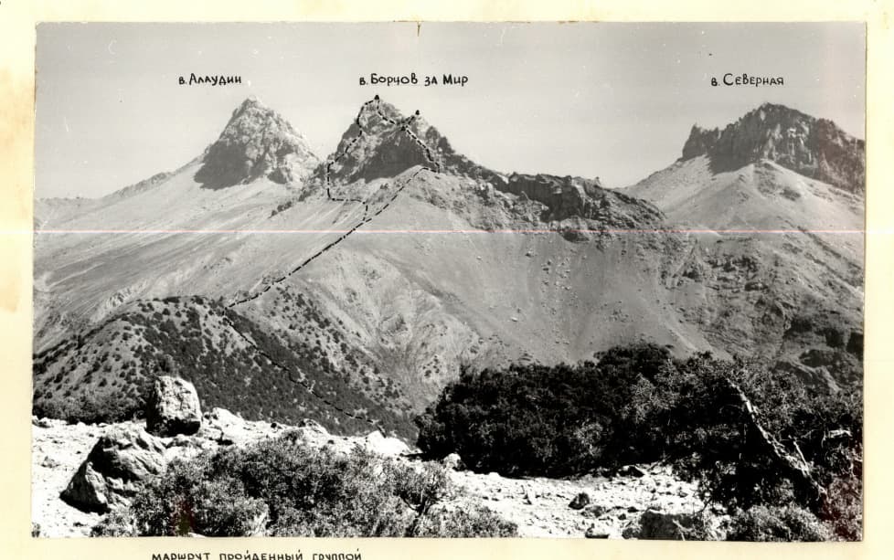 1_image_1.jpg