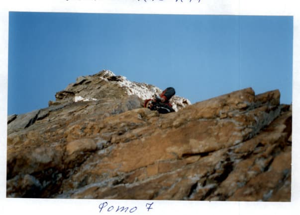 11_image_1.jpg