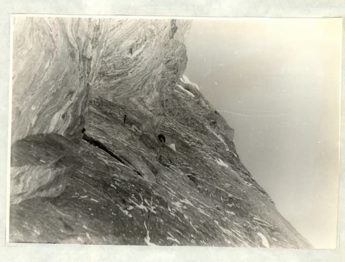 7_image_1.jpg
