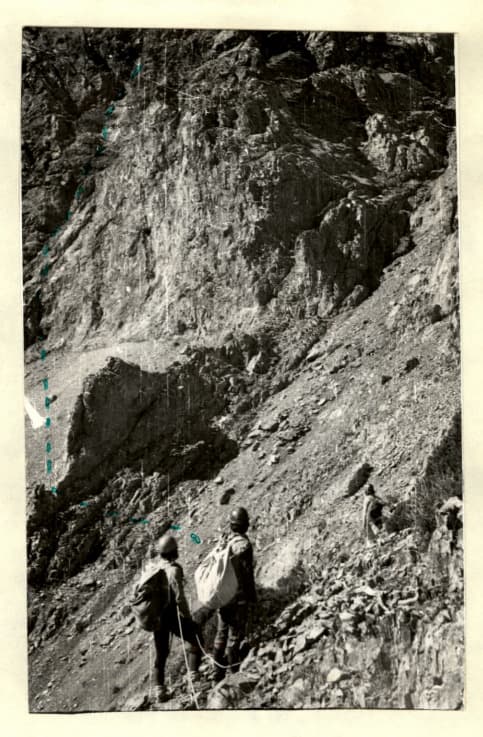7_image_1.jpg