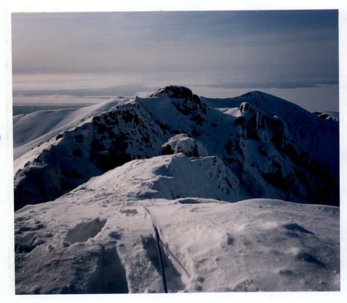 8_image_0.jpg