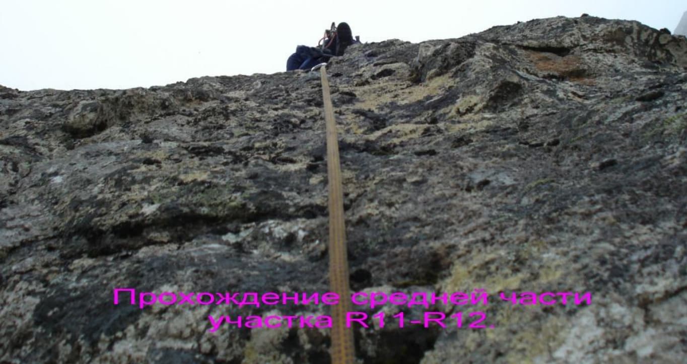 23_image_0.jpg