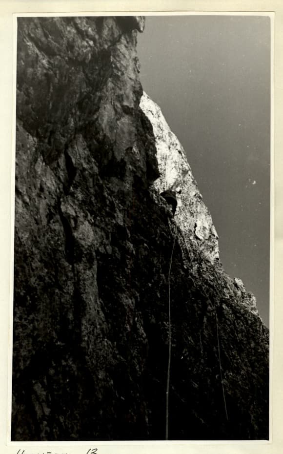 13_image_1.jpg