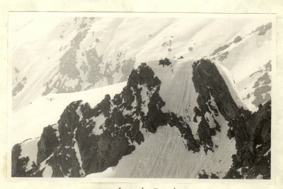 3_image_2.jpg