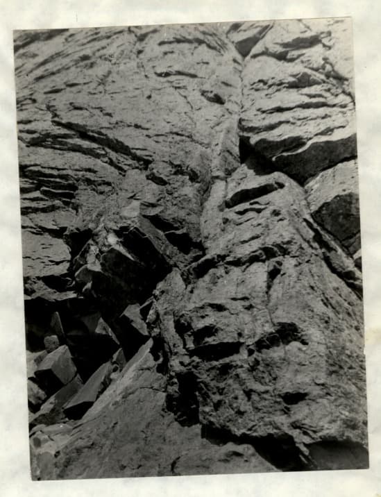 8_image_1.jpg
