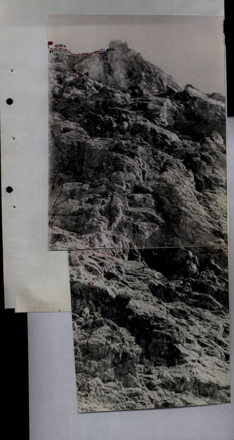 4_image_0.jpg