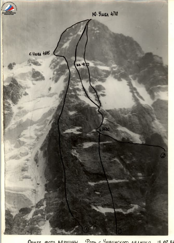 2_image_0.jpg