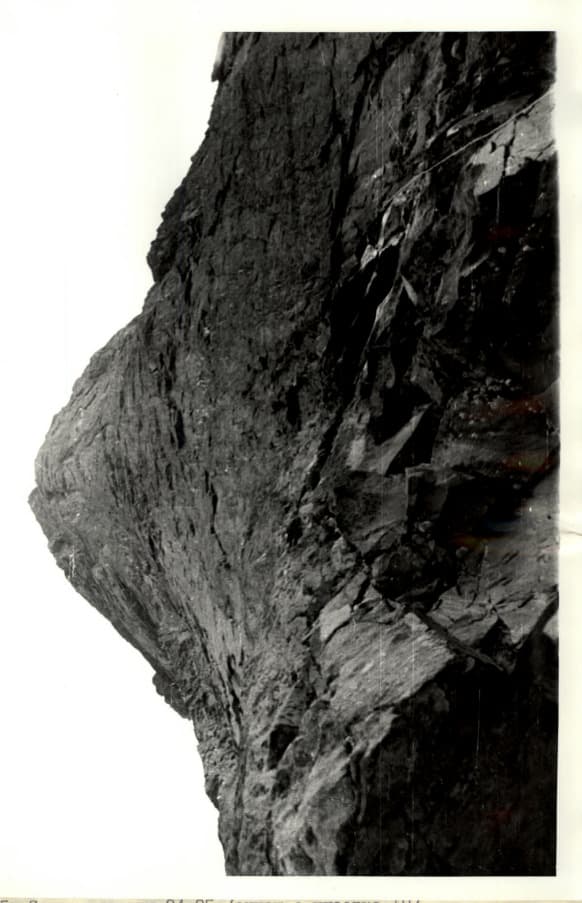 18_image_1.jpg
